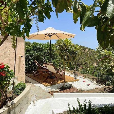Appartement The Garden House, Sitia Extérieur photo